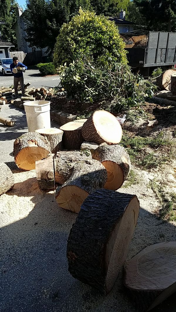 Free firewood for Sale in Federal Way, WA - OfferUp