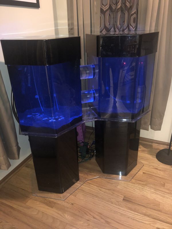 Unique Clarity Plus doublehexagon acrylic fresh water aquarium/ fish