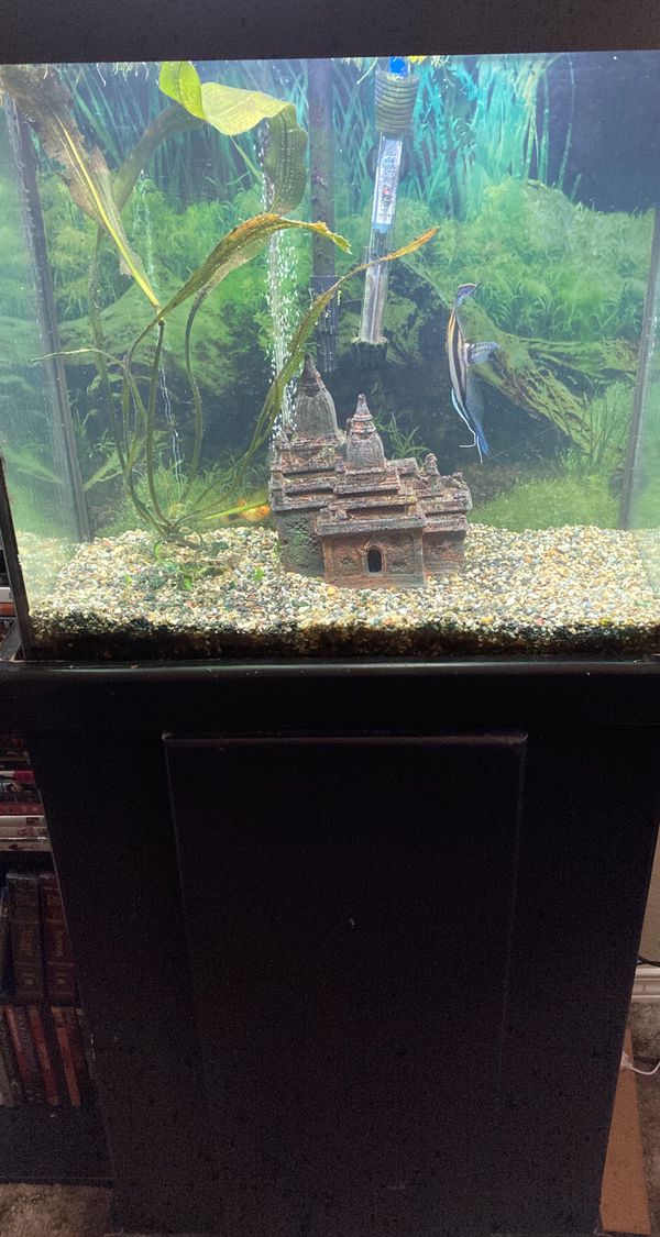  20 gallon tall aquarium  fish tank fish not included for 