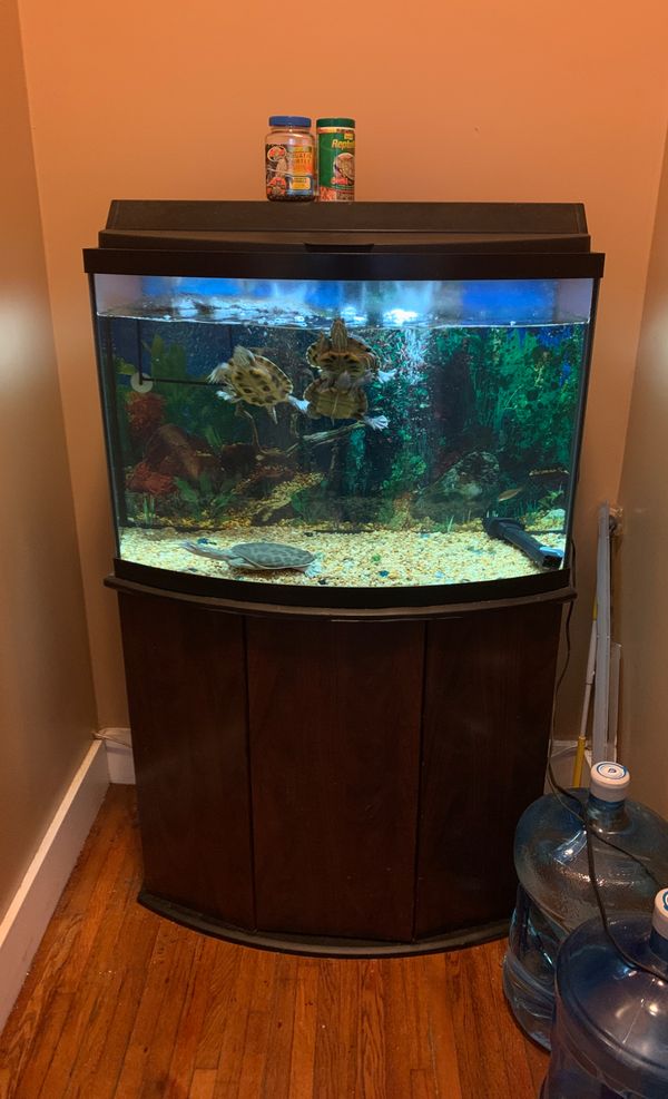 40 gallon fish tank with 55 gallon water Filter for Sale in Pembroke ...