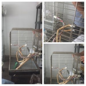 New and Used Bird cages for Sale in Tulsa, OK - OfferUp