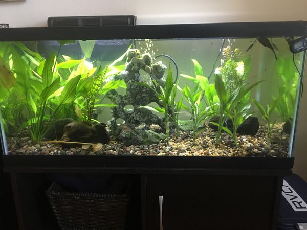 50 Gallon fish tank for Sale in Irvine, CA - OfferUp