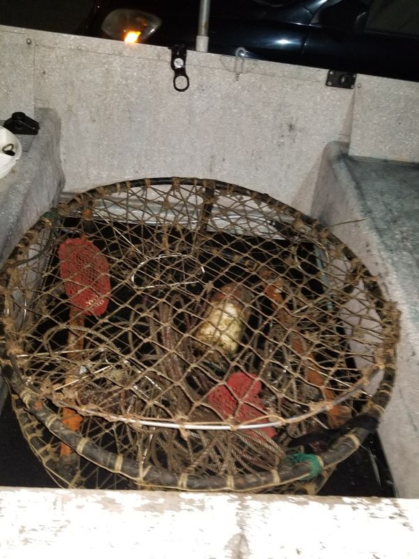 Commercial crab pot for Sale in Bremerton, WA OfferUp