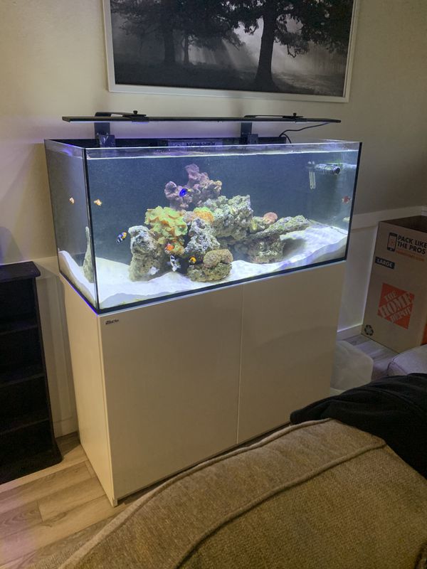 Red Sea Reefer 350 for Sale in Roseville, CA - OfferUp