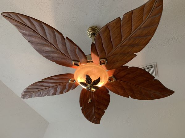 Hampton Bay Antigua Leaf Ceiling Fan And Light Kit For Sale In