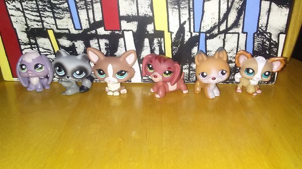 littlest pet shop 12