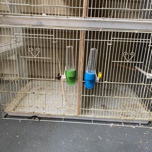 New and Used Bird cages for Sale - OfferUp