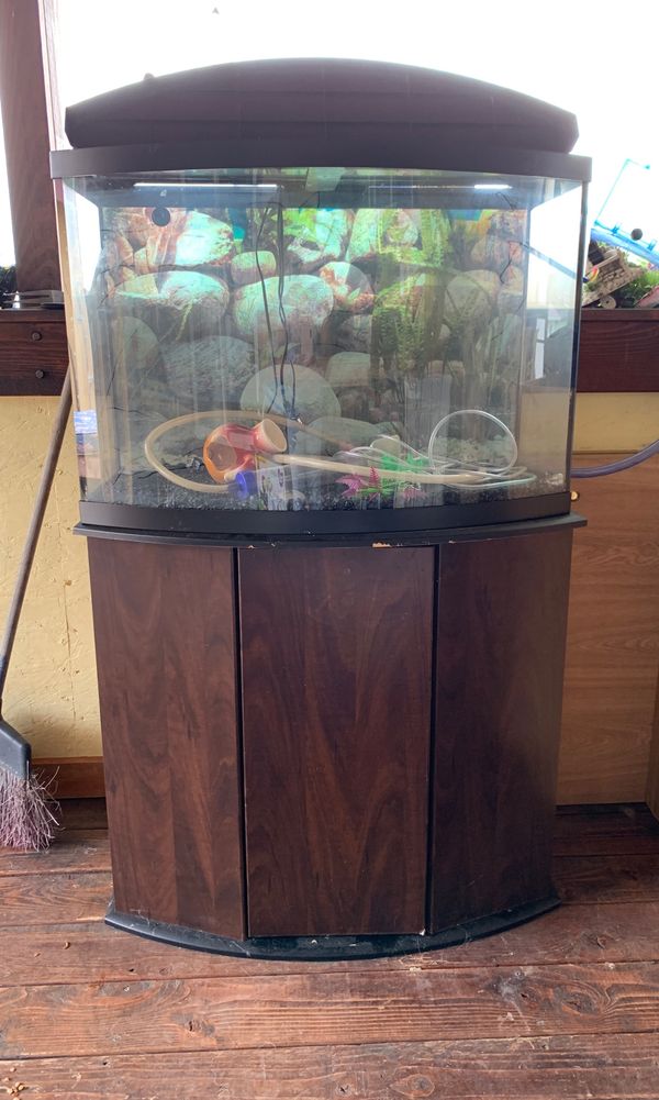 55 gallon glass aquarium for Sale in Mount Vernon, WA OfferUp