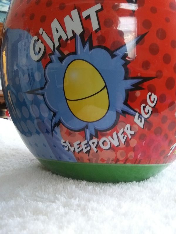 ryan sleepover egg