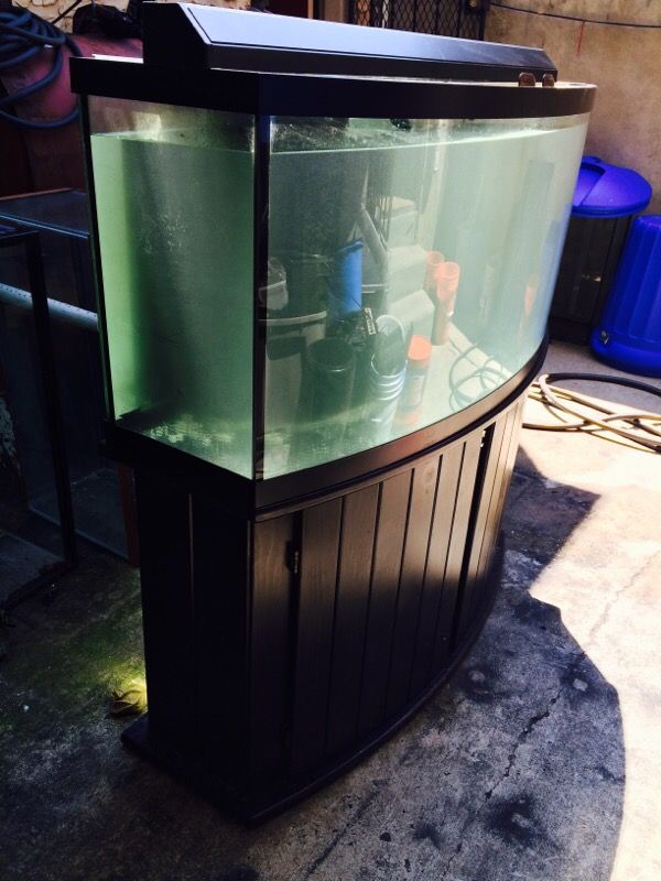 72 gallon Bow front Reef Ready Aquarium fish tank for Sale in ...