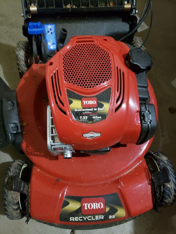 Toro Recycler 22 in. Briggs and Stratton Personal Pace Self Propelled