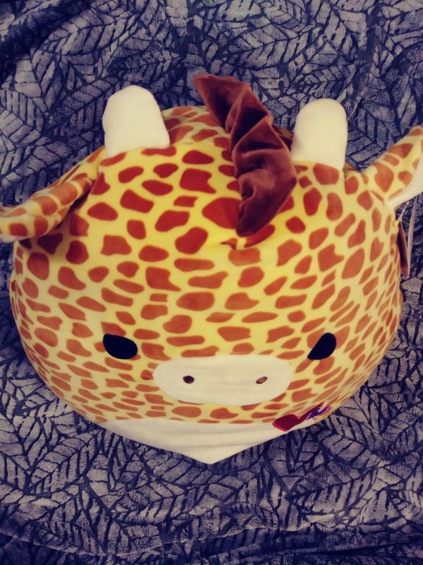 gary the giraffe squishmallow 16