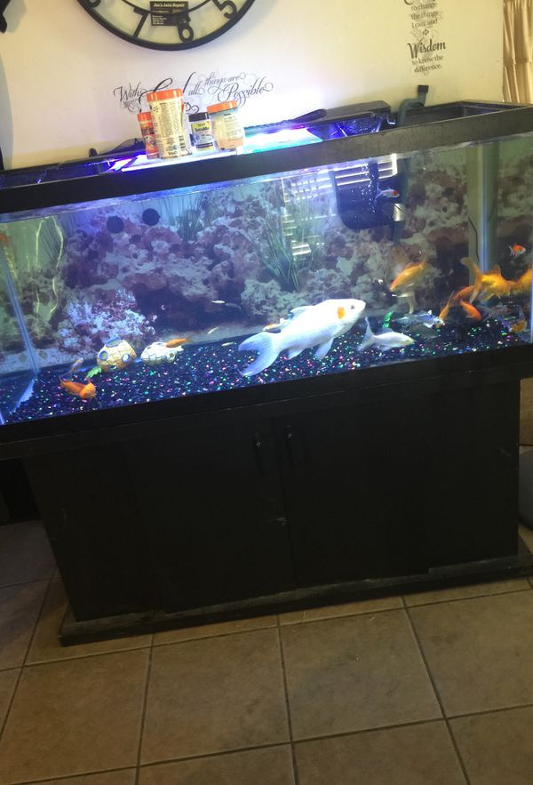 80 gallon fish tank for Sale in Bakersfield, CA OfferUp