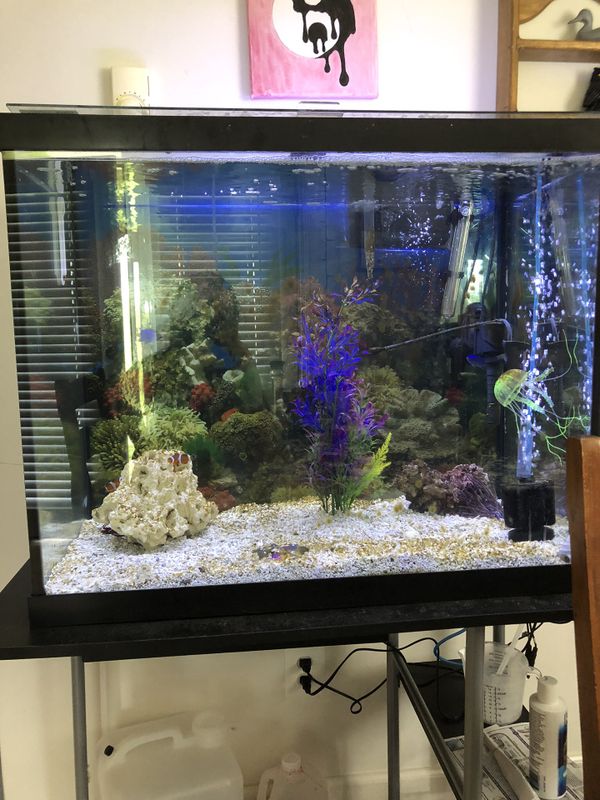 56 gallon fish tank for Sale in Dalton, GA - OfferUp