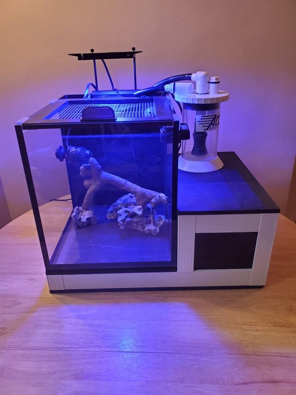 Innovative marine nuvo 10 Gallon for Sale in Brooklyn, NY - OfferUp