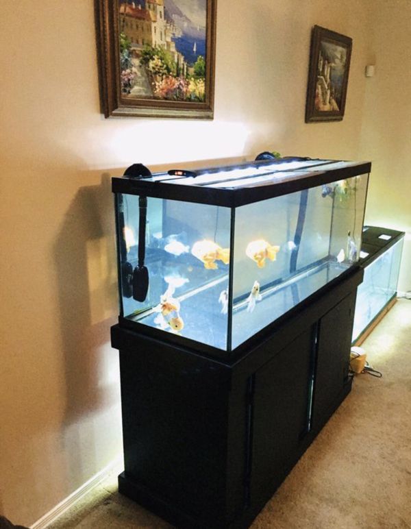 Fish Tank Aquarium 75 Gallon MARINELAND Like New 2019 for Sale in ...