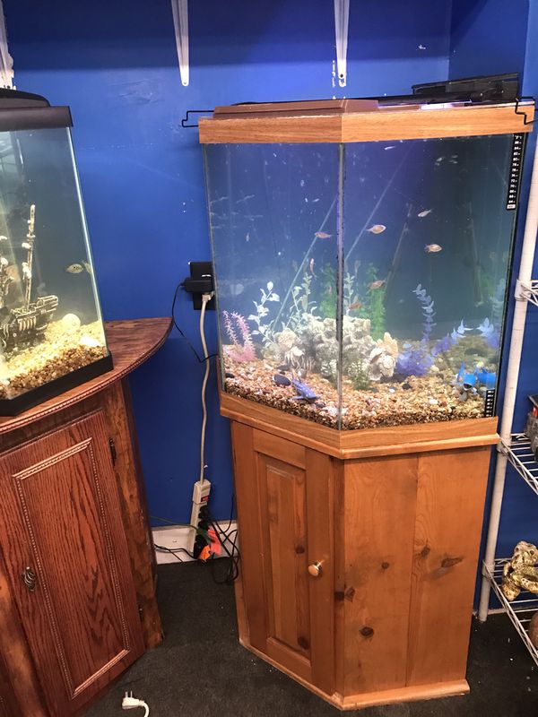 44 gallon corner Pentagon Aquarium fish tank complete $300 for Sale in