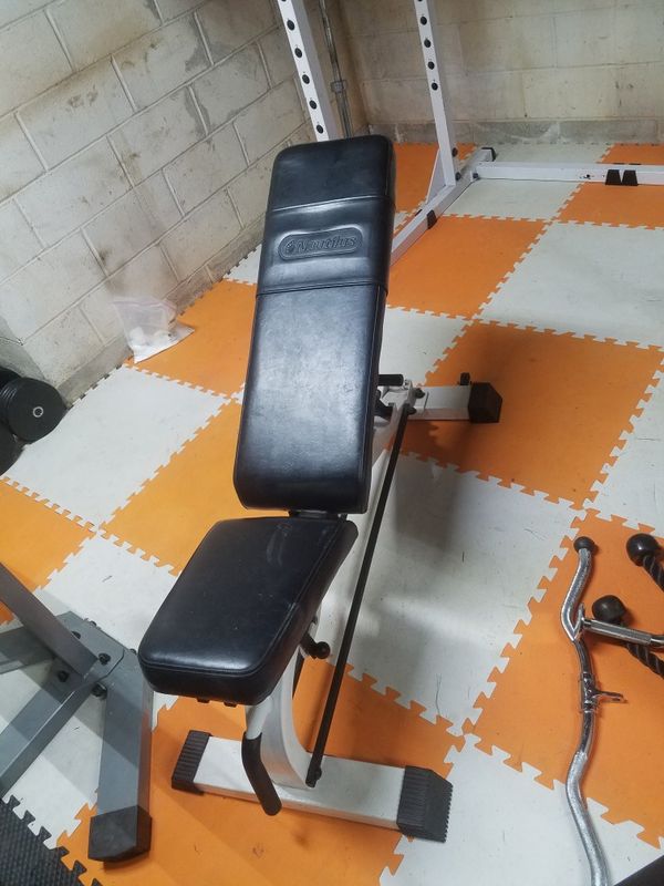 Nautilus adjustable free weight bench for Sale in Mohegan Lake, NY ...