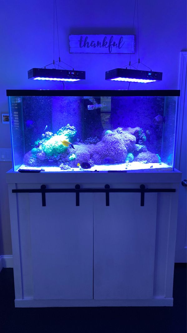 90 gallon saltwater tank with fish and equipment for Sale in Fall River ...