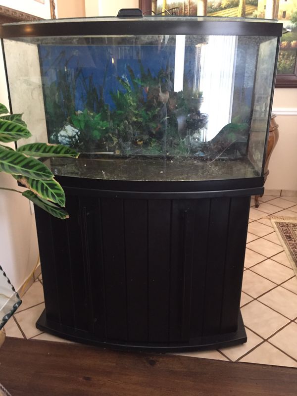 46 gallon Bow Front aquarium, stand, glass canopy, Marineland NV33008