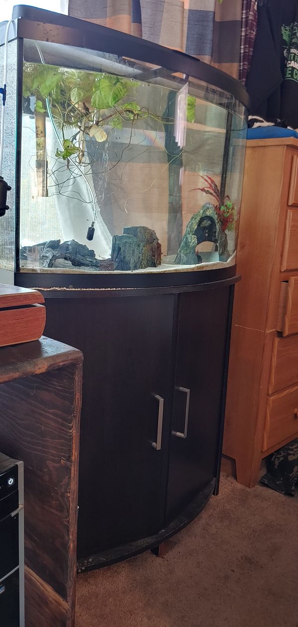 39 gallon bow front fish tank for Sale in Vancouver, WA OfferUp