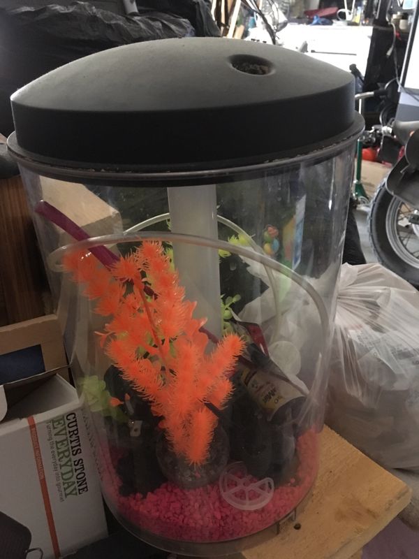 Round Aquarium 5 gallon for Sale in El Paso, TX OfferUp