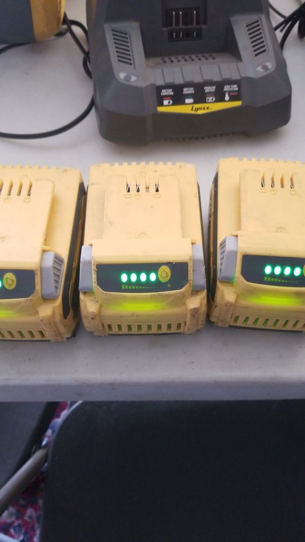Lynx 40v 40 volt blower, battery and charger bundle for Sale in Lemon