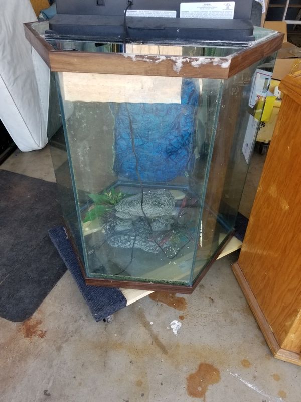 60 gallon hexagon fish tank for Sale in Highland, CA OfferUp