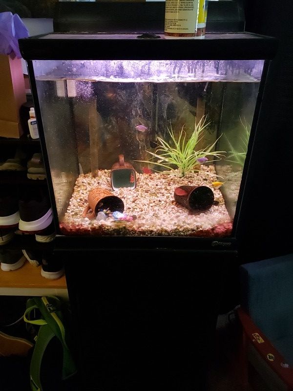 Cube aquarium 30 gallon for Sale in Indianapolis, IN - OfferUp