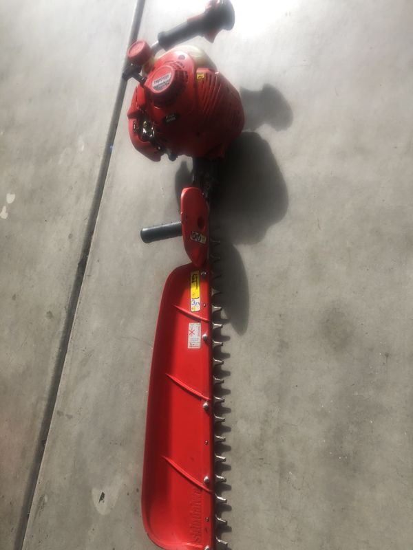 warm white light reindeer