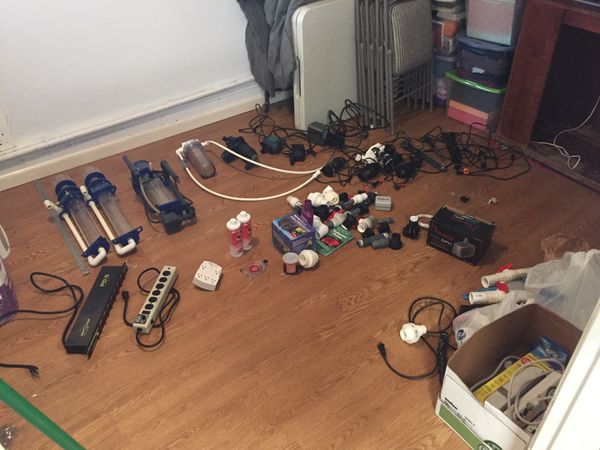 Saltwater Aquarium Supplies for Sale in Olympia, WA - OfferUp