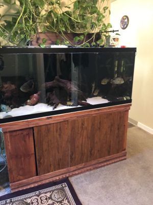 New and Used Fish tanks for Sale - OfferUp