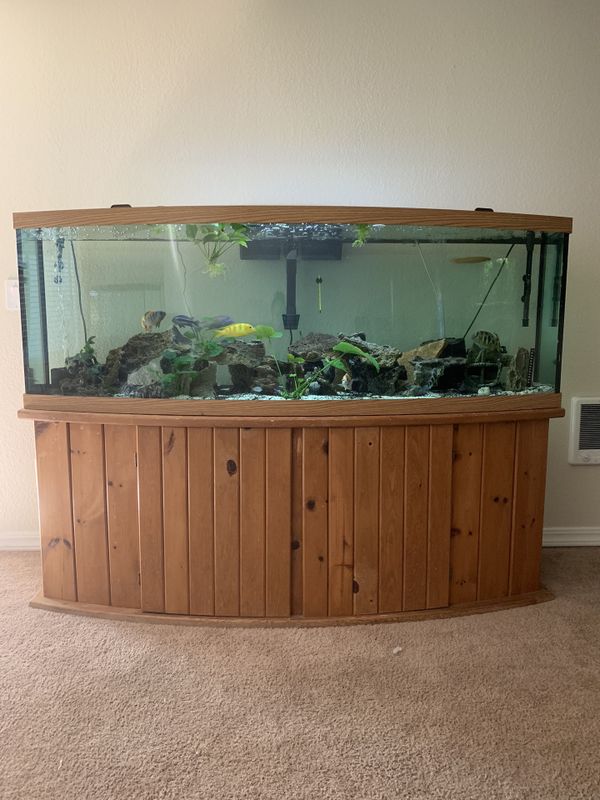 180 Gallon Bow Front Aquarium w/ Stand for Sale in Seattle, WA - OfferUp