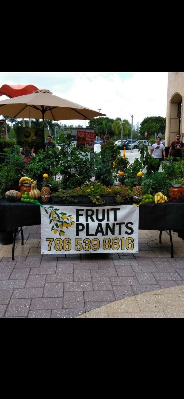 Fruit Plants for Sale in Port St. Lucie, FL OfferUp