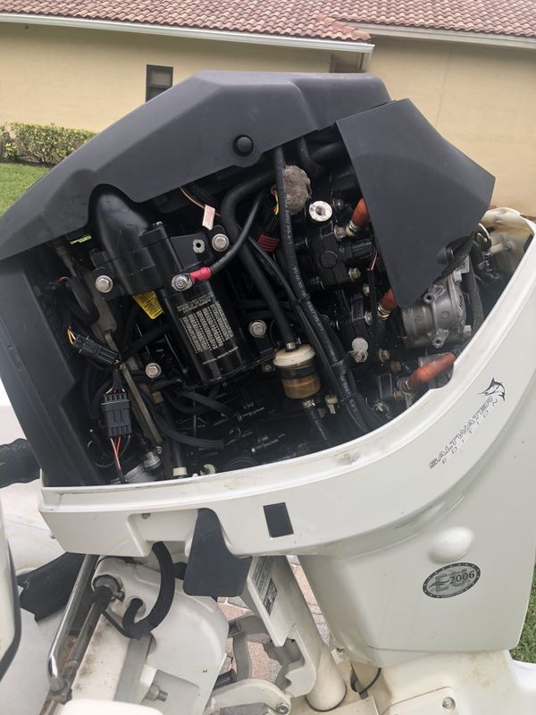 Evinrude Etec 115 Problems