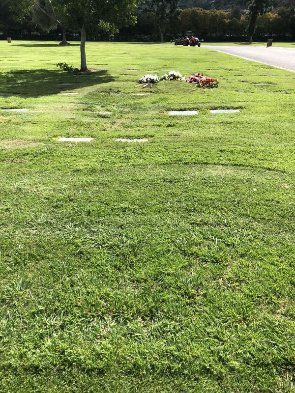 Burial Plots for Sale in Pico Rivera, CA OfferUp