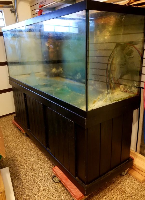 Saltwater Reef 210 Gallon Aquarium for Sale in Wheaton, IL OfferUp