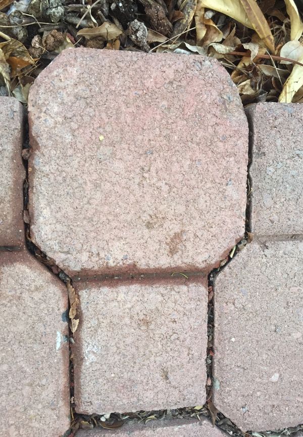 594 concrete keyhole pavers with 66edge pieces for Sale in Peoria, AZ ...