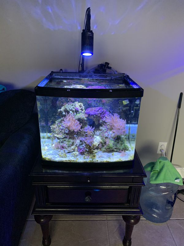 29 Gallon Biocube for Sale in Fort Lauderdale, FL - OfferUp