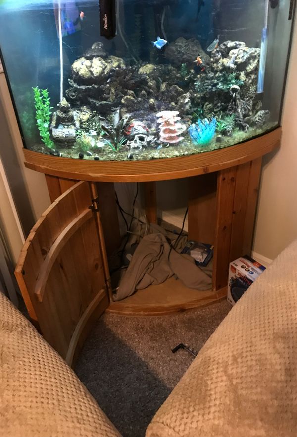 Corner fish tank 50 gallon for Sale in Tampa, FL OfferUp
