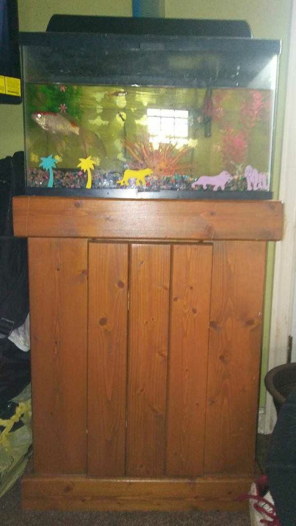 10 gallon Fish Tank with wooden stand with large pleco algae eater and ...