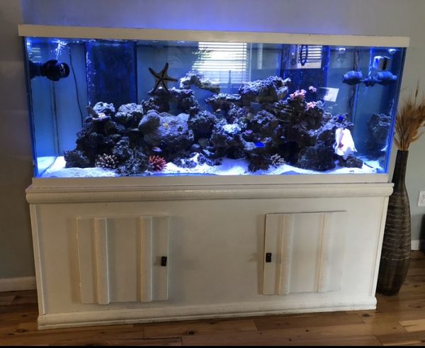 250 Gallon Fish Tank - www.inf-inet.com