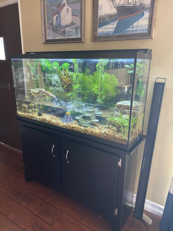 75 Gallon Turtle Tank - www.inf-inet.com