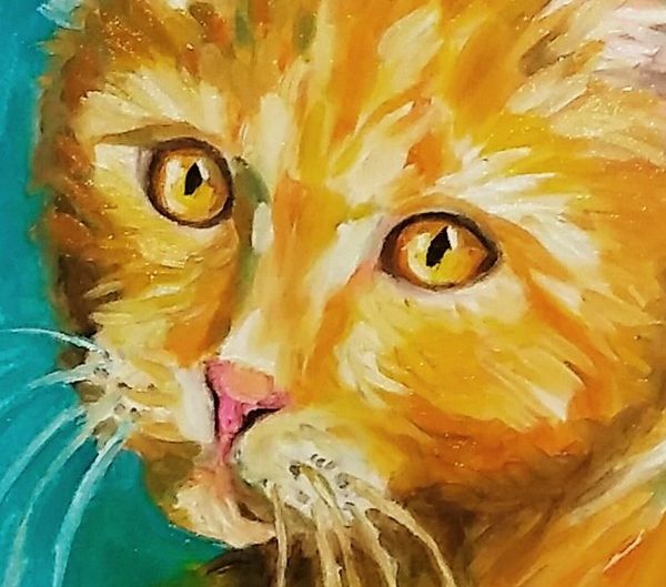 Yellow tabby cat oil painting 12x12 unframed impressionistic for Sale ...