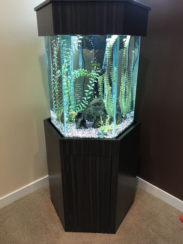 35 Gallon Hexagon fish tank (Glass) for Sale in Auburn, WA