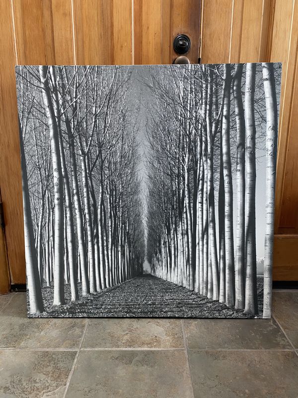 IKEA Canvas Art for Sale in San Diego, CA - OfferUp