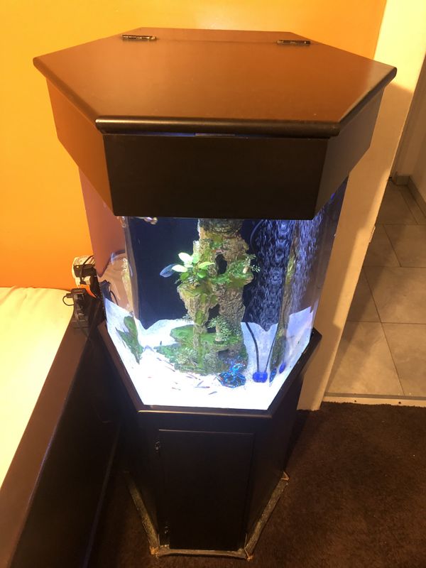 45 Gallon Hexagon Acrylic aquarium fish tank for Sale in Huntington Park, CA OfferUp