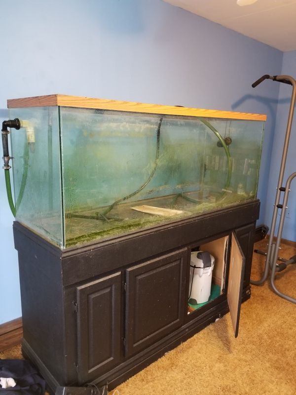 220 gallon fish tank for Sale in Robbinsville, NJ - OfferUp