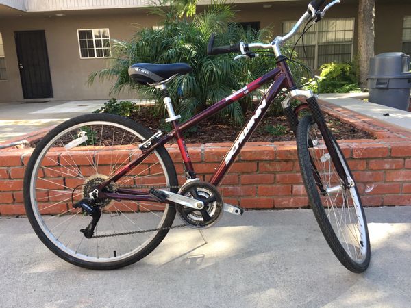 schwinn voyageur 21