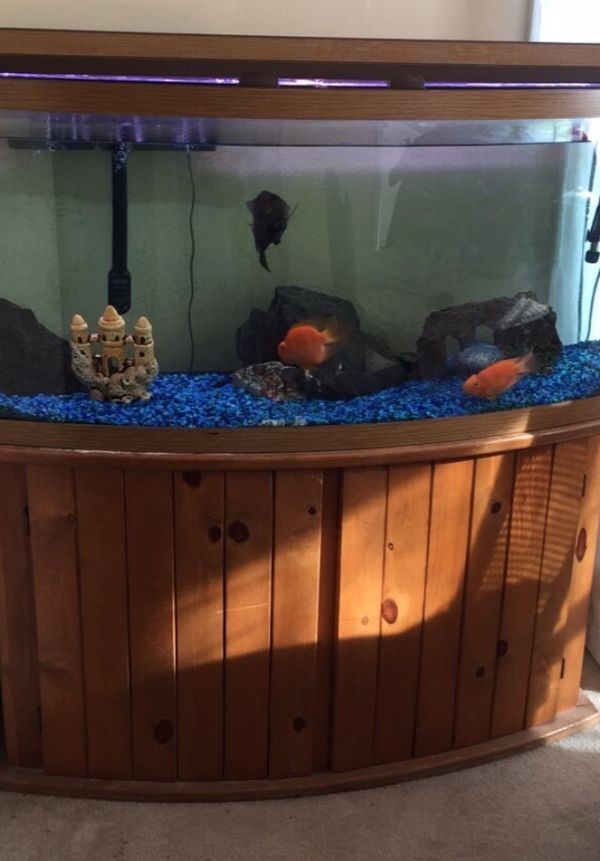 72 GALLON BOW AQUARIUM for Sale in Munster, IN - OfferUp